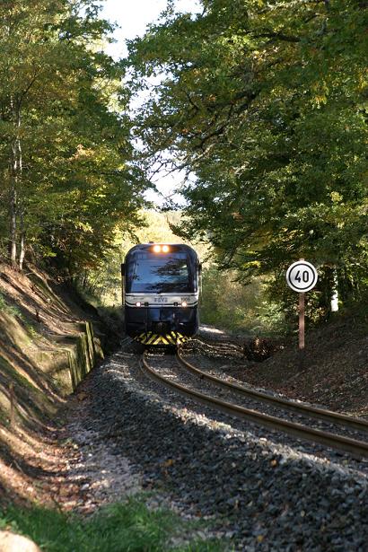 TRANSCANTABRICO VIAJES DE LUJO TERCERA EDAD VIAJES PARA MAYORES